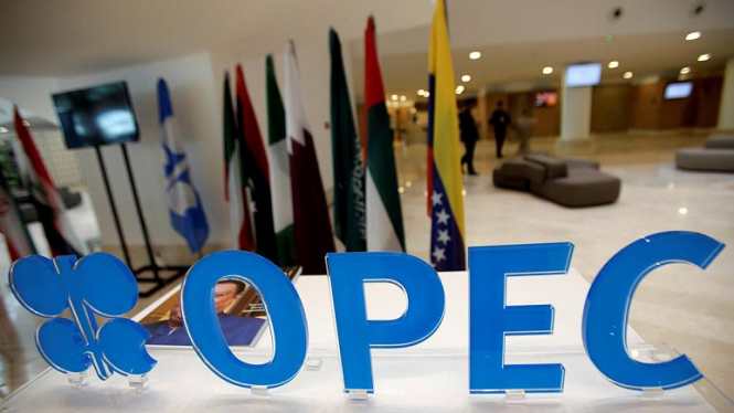 Saudi Arabia explores the possible disintegration of OPEC