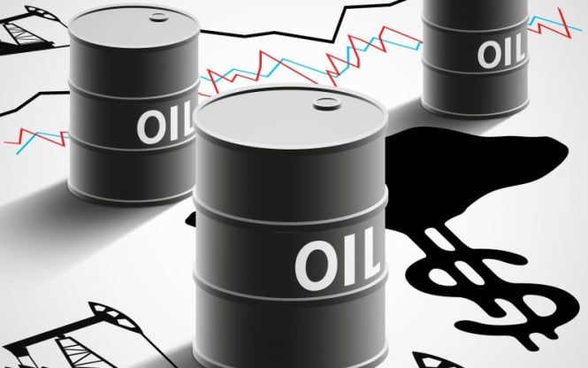 Oil gains balance and begins to grow