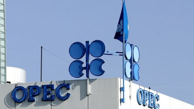 OPEC + countries agreed to reduce oil production by 1.2 million barrels per day